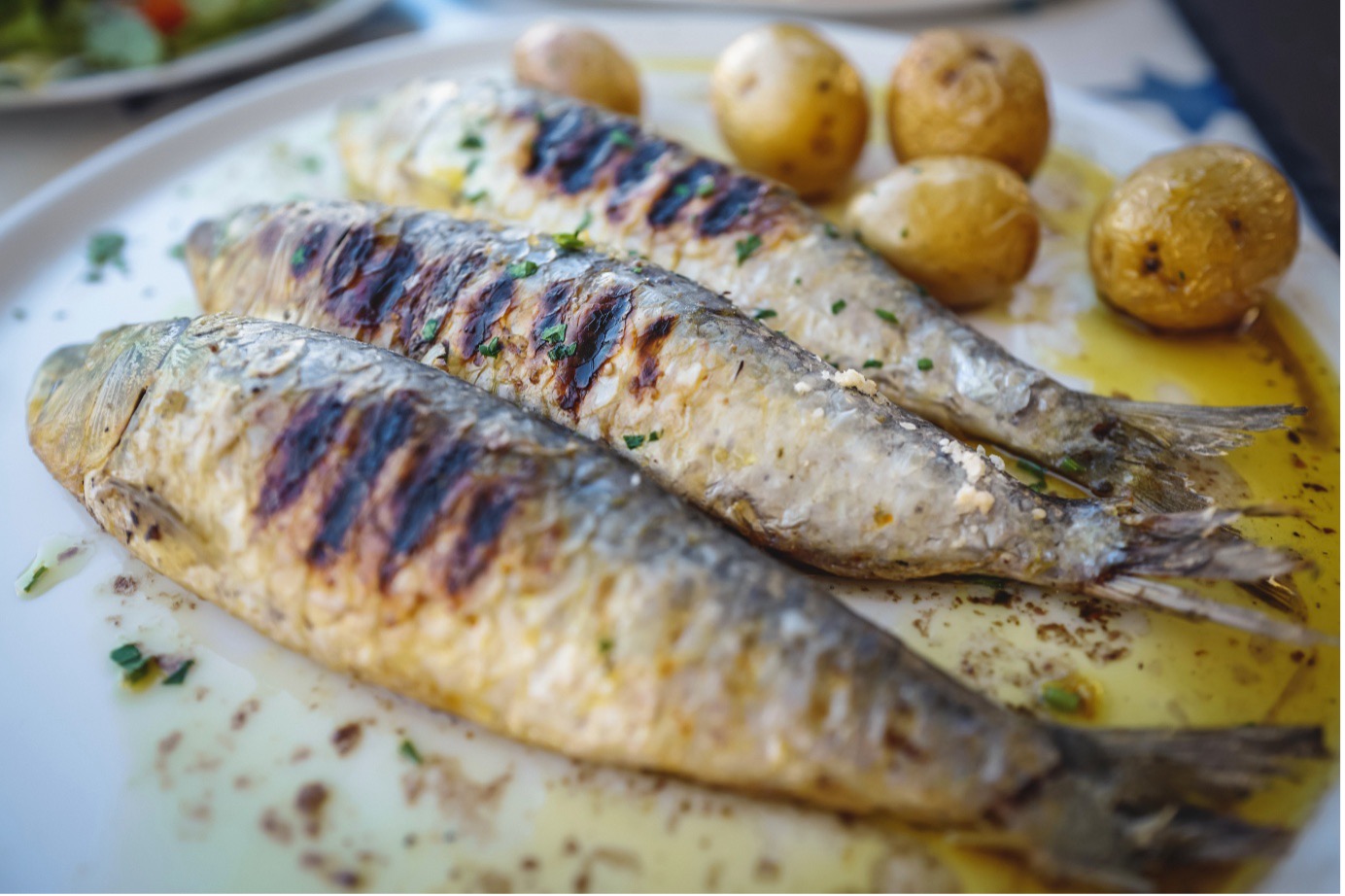 Fish Course